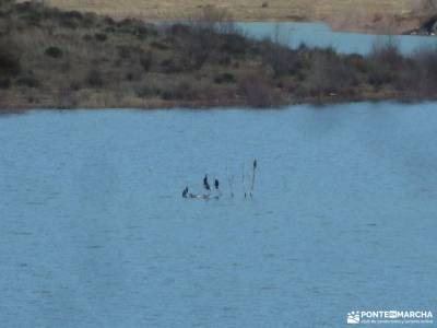 Río Salado-Salinas Imón-El Atance;irati selva el valle del baztan viajes en julio parques naturale